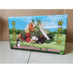 鹤壁蔬菜包装箱